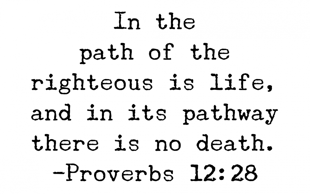 Proverbs 12:28